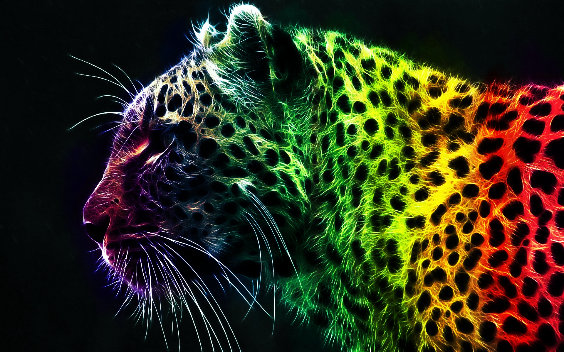 colorful-leopard